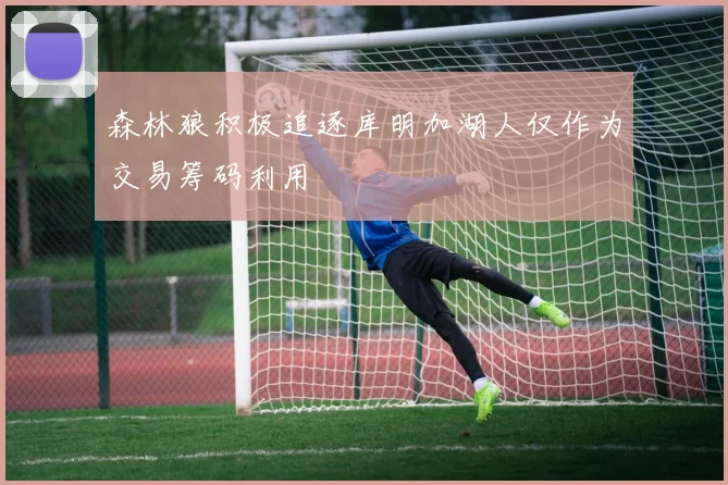 森林狼积极追逐库明加湖人仅作为交易筹码利用
